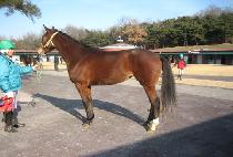 ��켱 (BAEKUSEON) ����