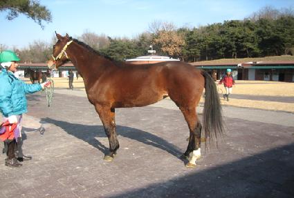 ��켱 ����