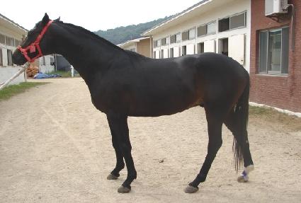 �����巹�ڵ� ����