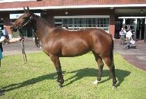 ĥ���� (CHILBOJU) ����