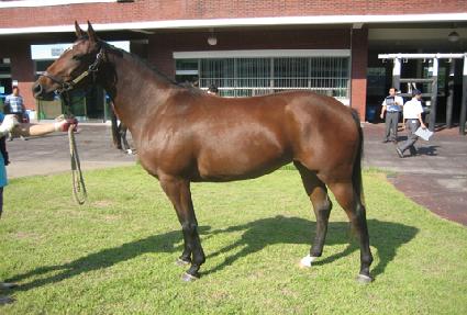 ĥ���� ����