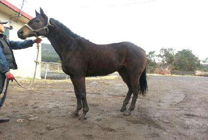 �������� ����