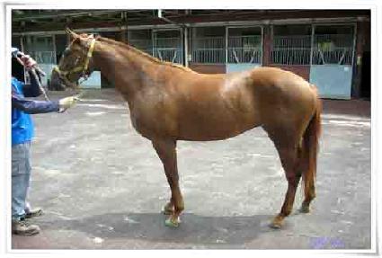 ������������ ����