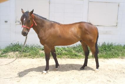 �����Ż ����