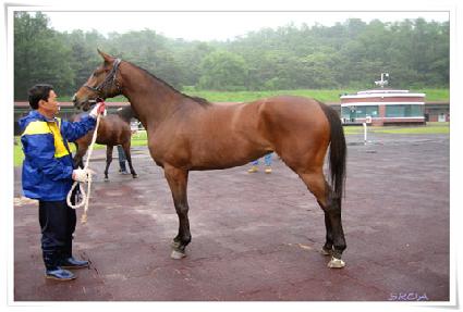 �þ�Ʋ���� ����