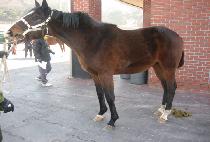 �븶�� (DAEMASIN) ����