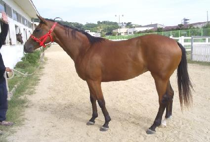 ��ƼǮ�ϸ�� ����