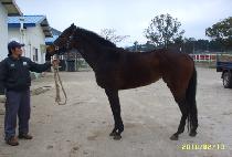 �̽����� (MISS BROWN) ����