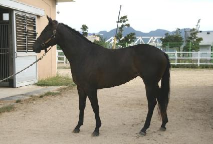 ��Ʈ������ ����