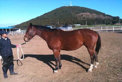 ��¼���Ű ����