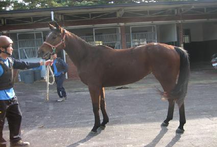 Ž���޺� ����