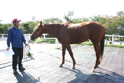 �ݺ�Ư�� ����