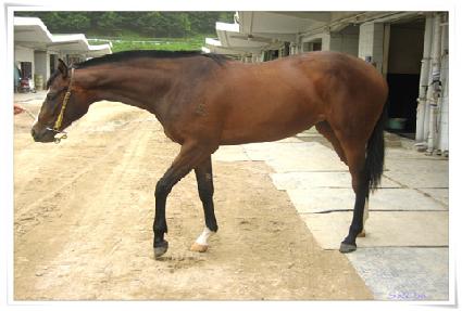 �޸���� ����