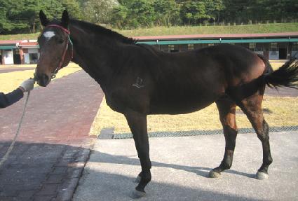 �Ҳ���� ����