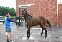 ��Ƽ (ETY) ����