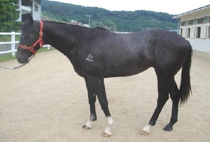 ������� ����