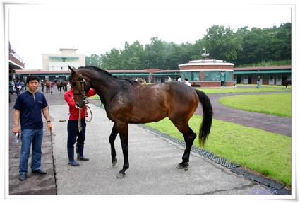 ��������ͺ� ����