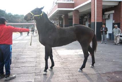 û�� ����