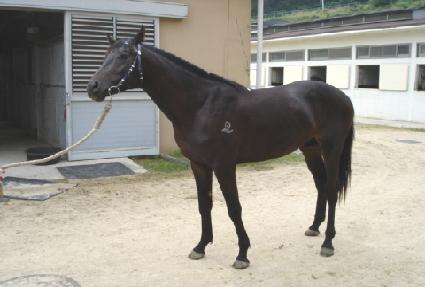 ����ī�� ����