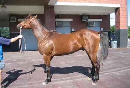 ������ ����