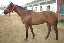 �ӻ�� (ENSEMBLE) ����