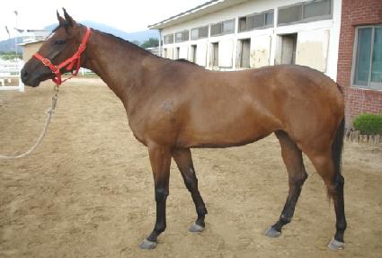 �ӻ�� ����