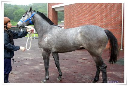 �ƶ����Ǻ� ����