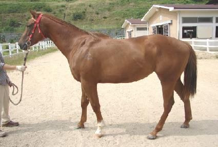 ����ũ���� ����