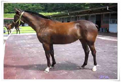 ���ǵ帲 ����