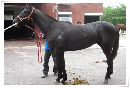 õ�� ����