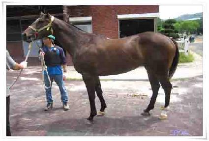 Ȳ�� ����