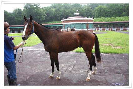 �Ĺ�Ȩ ����