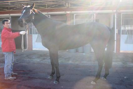 ������̽� ����