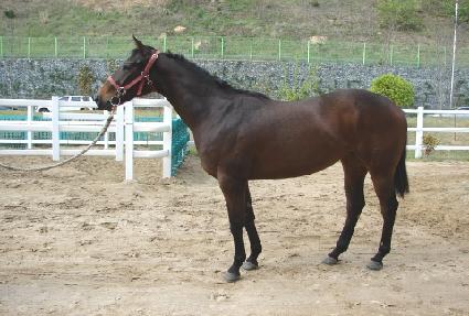 �����ǽ�ȭ ����