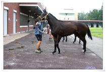 ���� (GIJEOK) ����