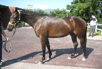 ������ (ESTHER) ����