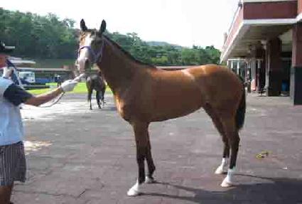 ũ���� ����