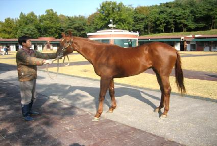 ����� ����