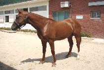 ���Ͽ��� (SONGHA YEONGUNG) ����