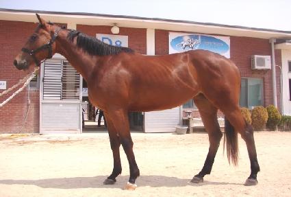 Ž����� ����