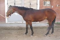 �������� (MYEONGMUN DAEHEUNG) ����