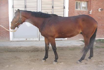 �������� ����