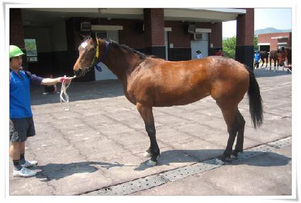 �ݰ����� ����