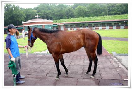 �Ŀ�Ǯ�� ����