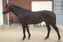 �ͻ������Ŀ� (EXCITING POWER) ����