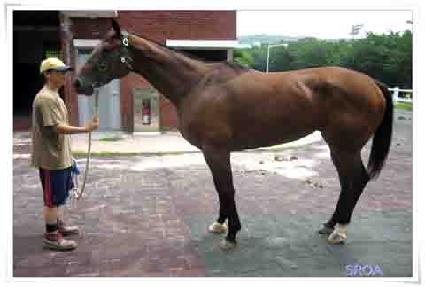 ����� ����