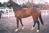 �ڹ̼� (JAMISEONG) ����