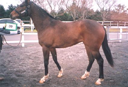 �ڹ̼� ����