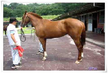 ��̶�Ŭ ����