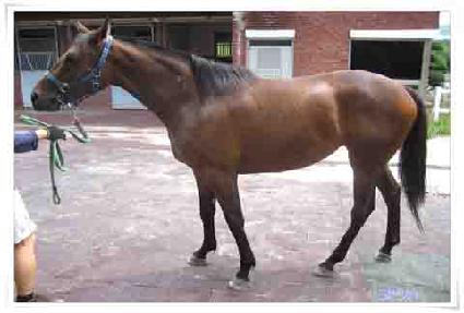 ���� ����